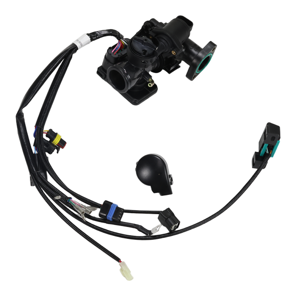 BS0017 - Complete Injection System Euro 5 DAX Not the Same as Euro 4 50CC