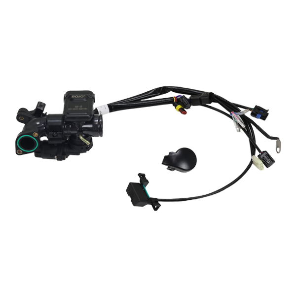 BS0017 - Complete Injection System Euro 5 DAX Not the Same as Euro 4 50CC