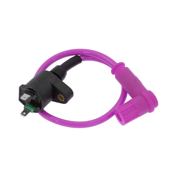 BS3011 - Ignition Coil Purple