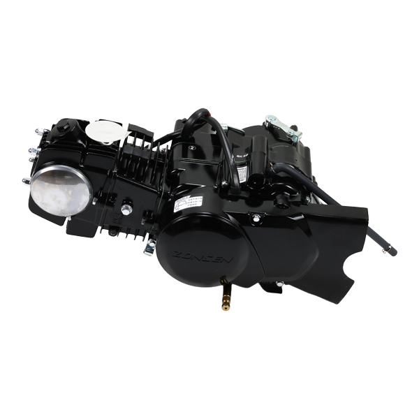 BS0186 Zongshen 125cc Kick Start Engine In Black