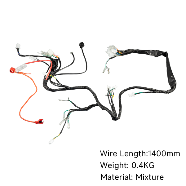 BS0200 - 12V DX Wiring Loom for Zhehua Bikes
