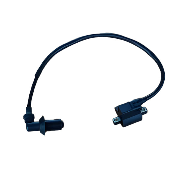 BS0247 - Ignition Coil Dax Euro 5. Not the Same as Euro 4