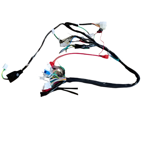 BS0414 - Munk Euro 4/5 Wiring Loom