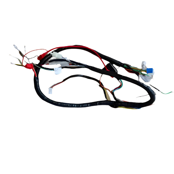 BS0418 - DX Euro 4/5 Wiring Loom