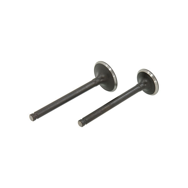 BS4045 - Lifan Valves In and Exhaust 50CC