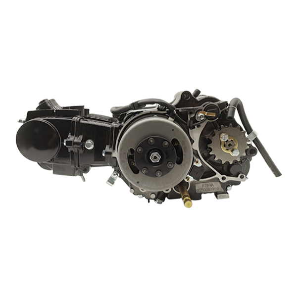 BS1025 - 50cc 4 Speed Manual Kick Engine in Black
