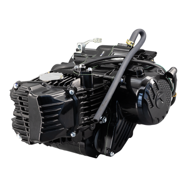 BS1560 - Zongshen 190cc 2 Valve Electric Start Engine 5 Speed Gear Box In Black