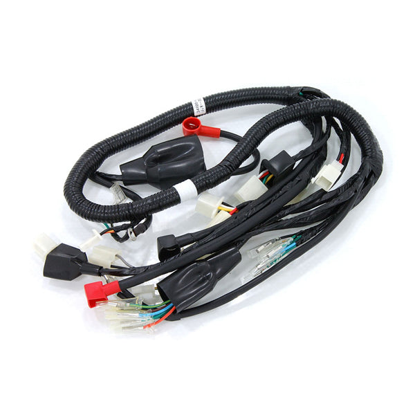 BS1569 - CUB Main Cable Wiring Loom