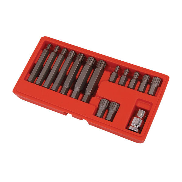 CT0120 - 15pc Ribe Bit Set