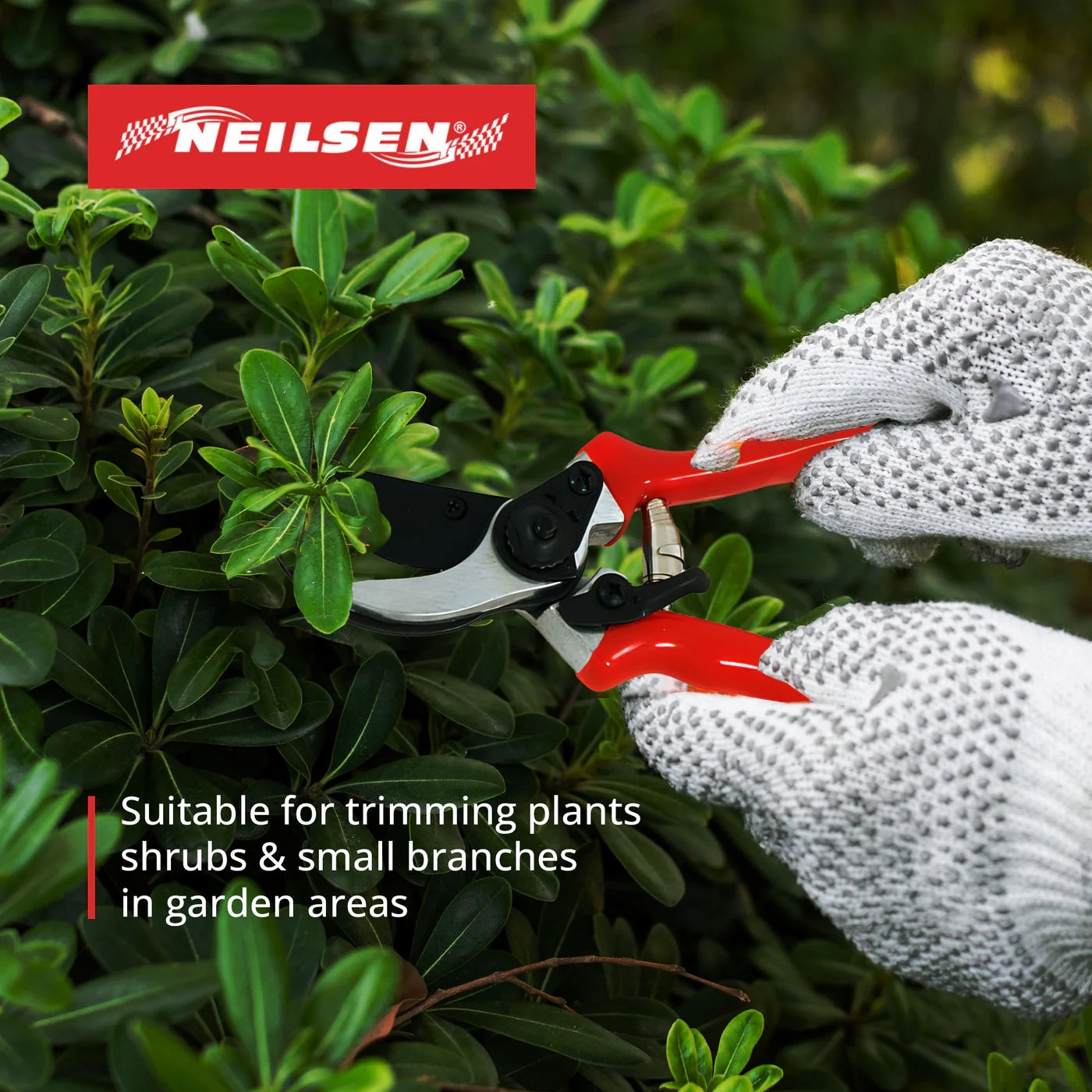 CT2080 - 8in Pruning Shears
