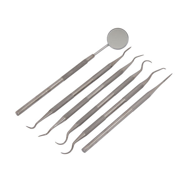 CT3156 - 6pc Pick and Hook Set Stainless Steel