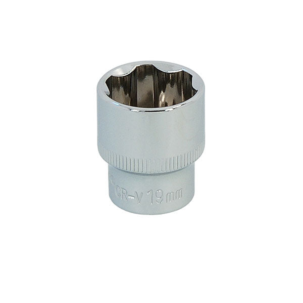 CT5018 - 3/8in DR 19mm Socket