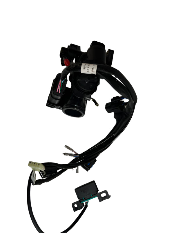 BS3757 - COMPLETE INJECTION SYSTEM EURO 5 DX NOT THE SAME AS EURO 4 125CC