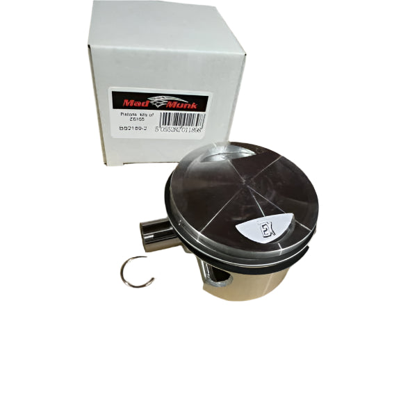 BS3609 - Pistons Kits of Zs155