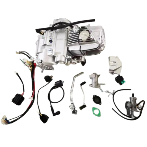 BS1458 - Zongshen 190cc Engine 2 Valves 5 Gears Silver with Electrical Starter