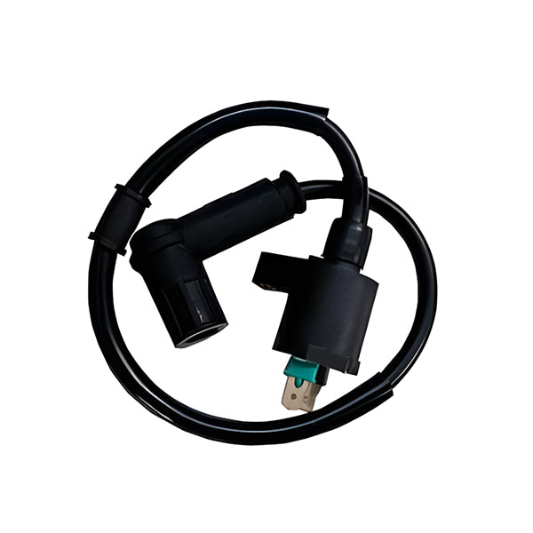 BS0153 - Black Ignition Coil