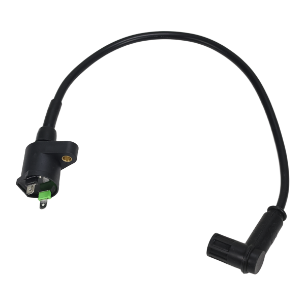BS0153 - MAD MUNK Black Ignition Coil