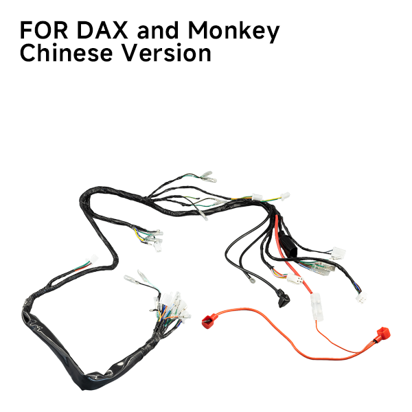 BS0200 - 12V DX Wiring Loom for Zhehua Bikes