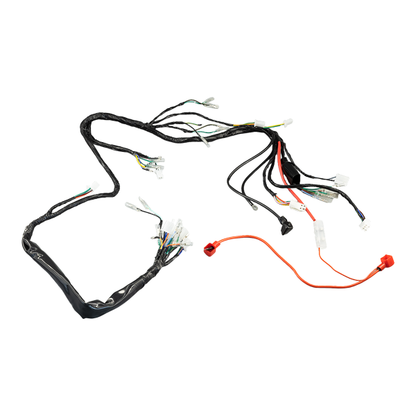 BS0200 - 12V DX Wiring Loom for Zhehua Bikes