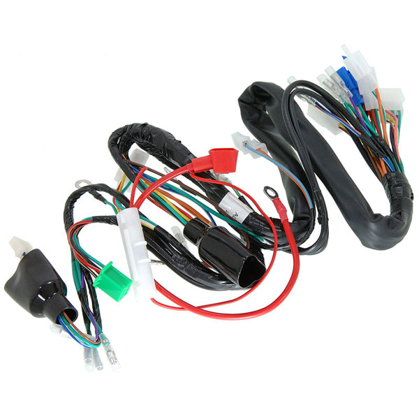 BS0201 - 12V MUNK Wiring Loom