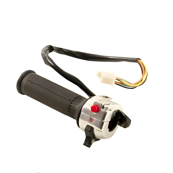 BS0373 - Light Switch with Throttle DX