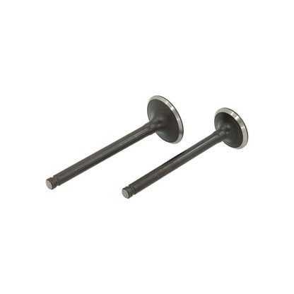 BS4045 - Lifan Valves In and Exhaust 50CC
