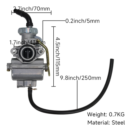 BS0697 - PZ20 Carburettor