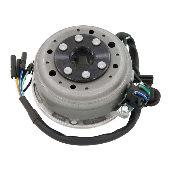 BS1141 - Coil Complete Stator 6 Wires