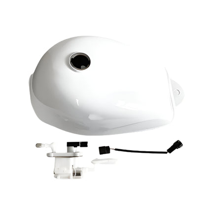 BS1216 - Euro 5 Tank in  White and Pump Kits  In-tank Oil  Pump