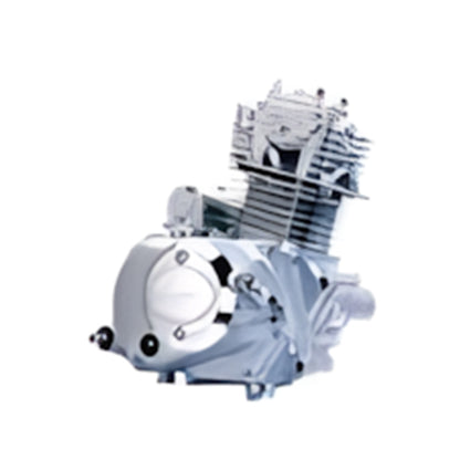 BS1368 - Complete Engine Mash Cobra Archive Lifan 139 Fmb-b 50cc Euro 3