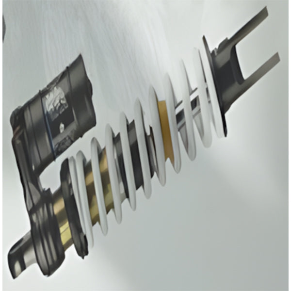 BS1956 - DNM Shock DHL L=310MM