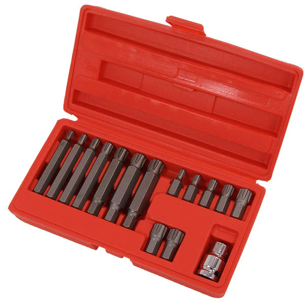 CT0120 - 15pc Ribe Bit Set