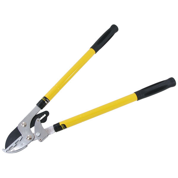 CT3462 - Telescopic Ratchet Tree Lopper
