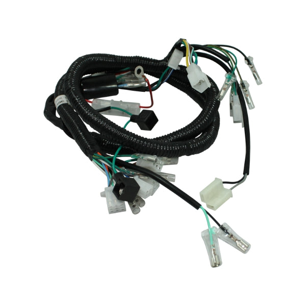 BS1415 - DAX Hunter Wiring Loom