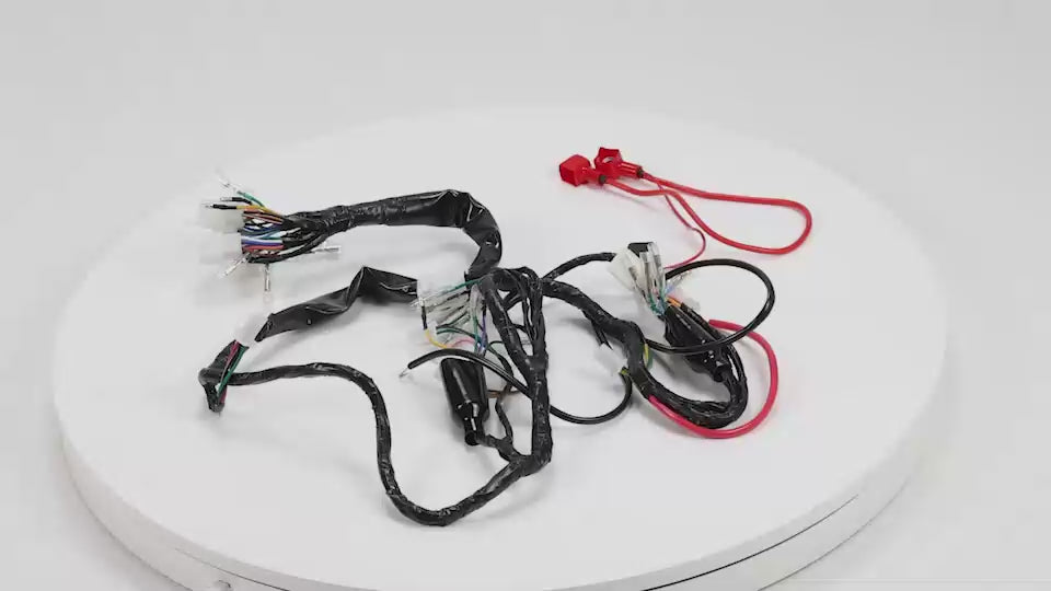 BS0200 - 12V DX Wiring Loom for Zhehua Bikes