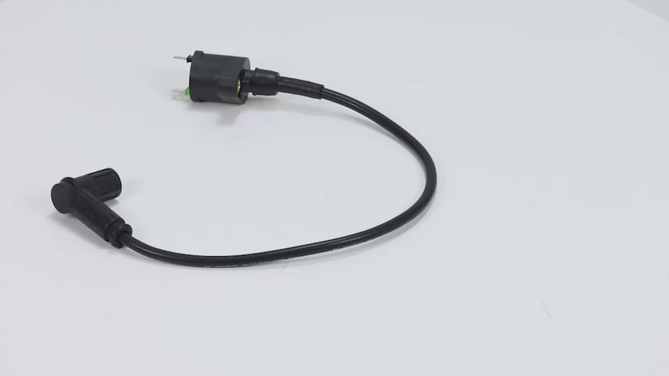 BS0153 - MAD MUNK Black Ignition Coil