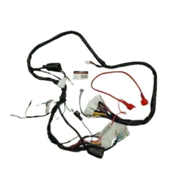 BS2335 - SKYTEAM DX WIRING LOOM FOR OLD MODELS