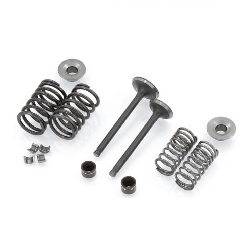 VALVE kits  FOR ZS190