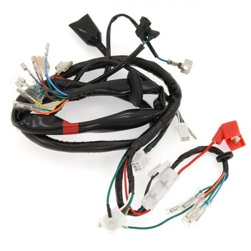 CARBON PERFORMANCE WIRING LOOM FOR OLD TIMER DX 12volt