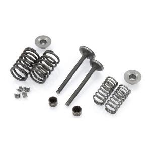 LIFAN 125 VALVE KIT